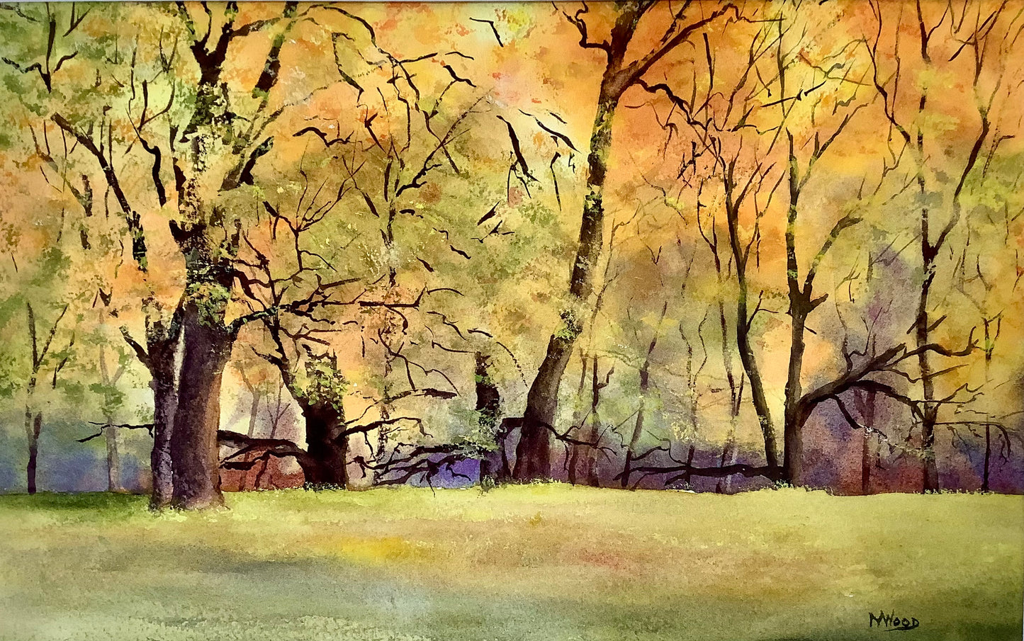 Into the Woods