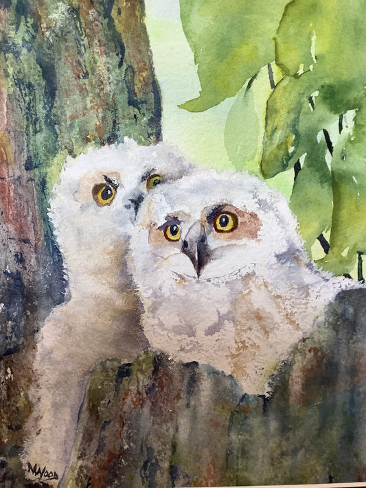 Fledglings