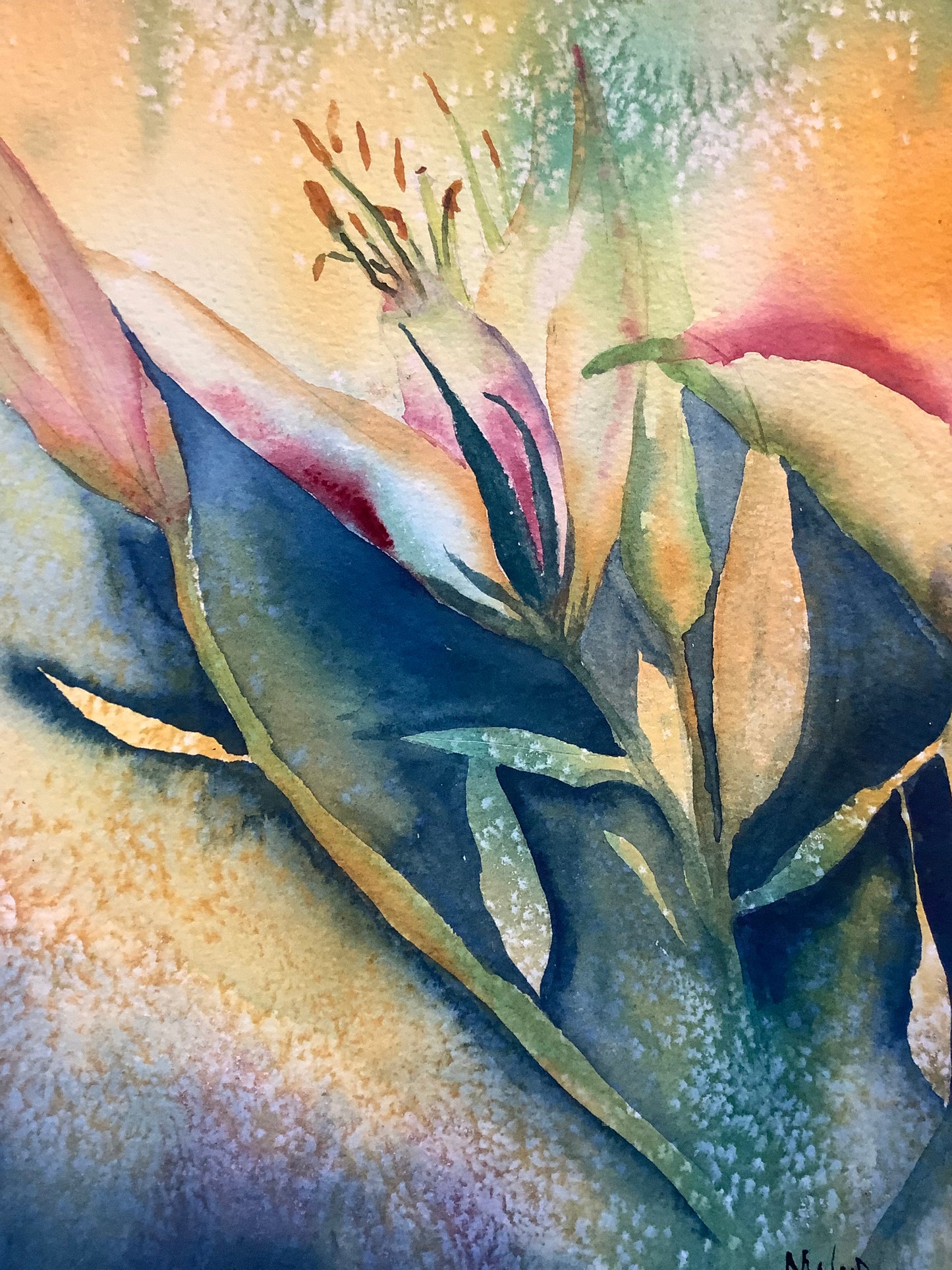 Lily