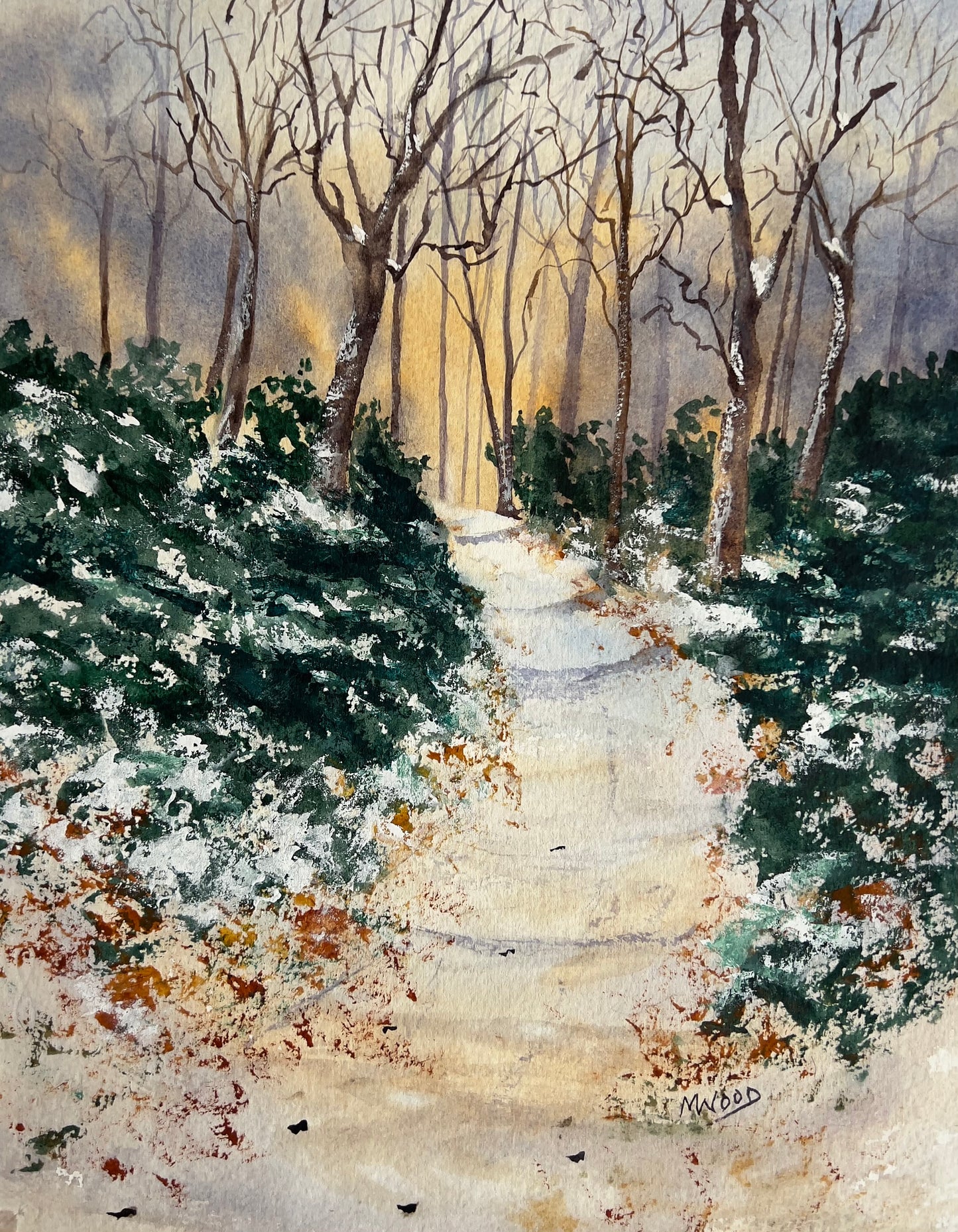 First Snow