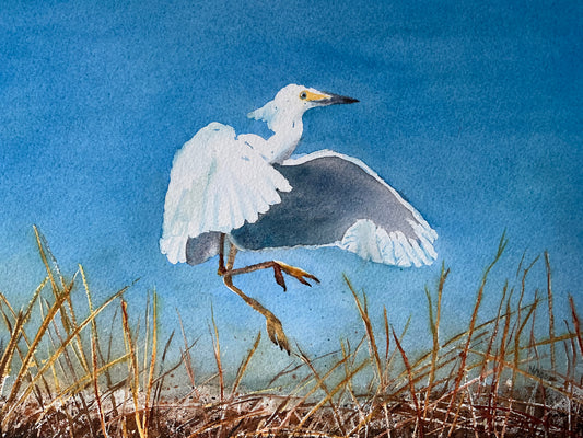 The Landing